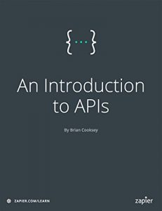 Descargar An Introduction to APIs (English Edition) pdf, epub, ebook