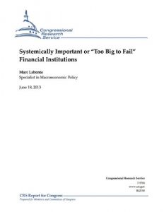 Descargar Systemically Important or “Too Big to Fail” Financial Institutions (English Edition) pdf, epub, ebook