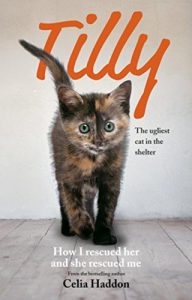 Descargar Tilly: The Ugliest Cat: How I Rescued Her and She Rescued Me (English Edition) pdf, epub, ebook