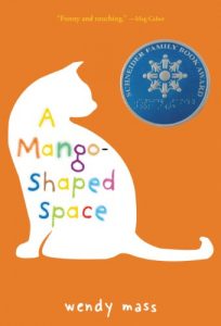 Descargar A Mango-Shaped Space (English Edition) pdf, epub, ebook