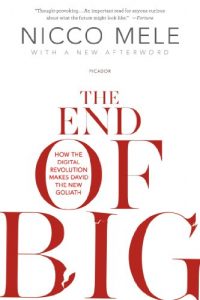 Descargar The End of Big: How the Internet Makes David the New Goliath pdf, epub, ebook