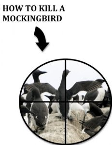 Descargar How To Kill A Mockingbird (Very Literally Titled Books Book 2) (English Edition) pdf, epub, ebook