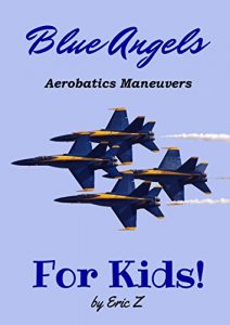 Descargar The Blue Angels Aerobatics Maneuvers for Kids!: Quick Reference Guide (The Kidsbooks Leadership for Kids Navy Aviator Series Book 1) (English Edition) pdf, epub, ebook