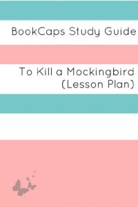 Descargar Teacher Lesson Plans: To Kill a Mockingbird (English Edition) pdf, epub, ebook