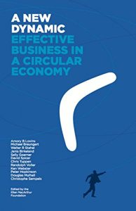 Descargar A New Dynamic: Effective Business in a Circular Economy (English Edition) pdf, epub, ebook