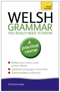 Descargar Welsh Grammar You Really Need to Know: Teach Yourself (Teach Yourself Language Reference) (English Edition) pdf, epub, ebook