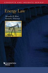 Descargar Energy Law (Concepts and Insights) pdf, epub, ebook