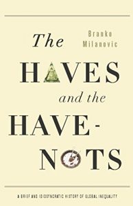 Descargar The Haves and the Have-Nots: A Brief and Idiosyncratic History of Global Inequality pdf, epub, ebook