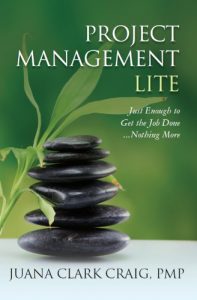 Descargar Project Management Lite: Just Enough to Get the Job Done…Nothing More (English Edition) pdf, epub, ebook