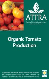 Descargar Organic Tomato Production (English Edition) pdf, epub, ebook