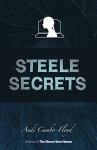 Descargar Steele Secrets: A Young Adult Ghost Story (English Edition) pdf, epub, ebook