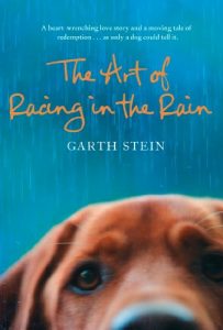 Descargar The Art of Racing in the Rain pdf, epub, ebook