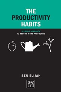 Descargar The Productivity Habits:A Simple Approach to Become More Productive (Concise Advice) (English Edition) pdf, epub, ebook