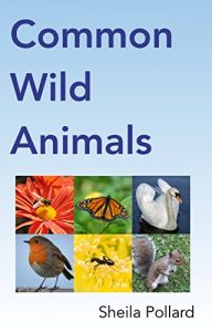 Descargar Common Wild Animals (Early Learning Book 4) (English Edition) pdf, epub, ebook