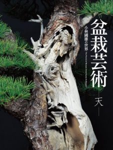 Descargar Spring (The world of Bonsai Artist Kunio Kobayashi Book 1) (English Edition) pdf, epub, ebook