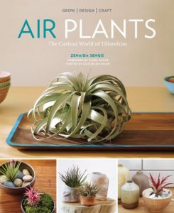 Descargar Air Plants: The Curious World of Tillandsias (English Edition) pdf, epub, ebook