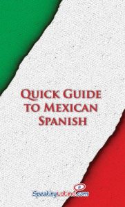 Descargar Quick Guide to Mexican Spanish (Spanish Vocabulary Quick Guides) (English Edition) pdf, epub, ebook