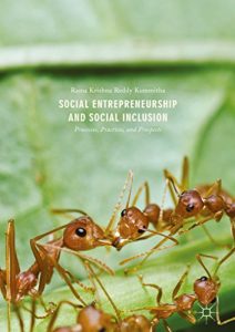 Descargar Social Entrepreneurship and Social Inclusion: Processes, Practices, and Prospects pdf, epub, ebook