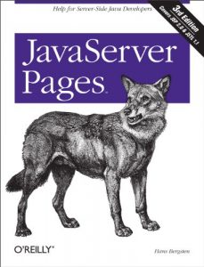 Descargar JavaServer Pages: Help for Server-Side Java Developers pdf, epub, ebook