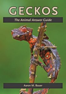 Descargar Geckos (The Animal Answer Guides: Q&A for the Curious Naturalist) pdf, epub, ebook
