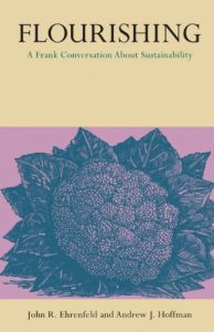 Descargar Flourishing: A Frank Conversation about Sustainability pdf, epub, ebook