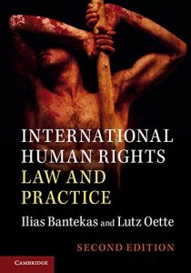 Descargar International Human Rights Law and Practice pdf, epub, ebook