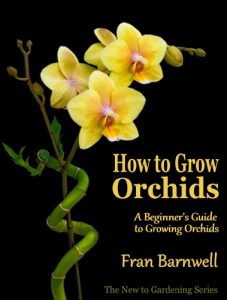 Descargar How to Grow Orchids: A Guide to Growing Orchids for Beginners (The New to Gardening Series Book 2) (English Edition) pdf, epub, ebook