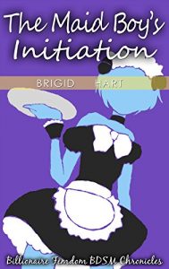 Descargar The Maid Boy’s Initiation (Billionaire Femdom BDSM Chronicles Book 1) (English Edition) pdf, epub, ebook