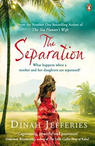 Descargar The Separation pdf, epub, ebook