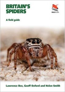 Descargar Britain’s Spiders: A Field Guide (WILDGuides) pdf, epub, ebook