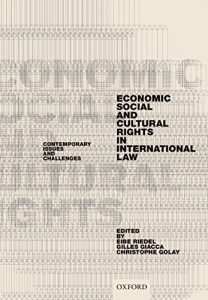 Descargar Economic, Social, and Cultural Rights in International Law: Contemporary Issues and Challenges pdf, epub, ebook