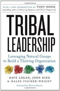 Descargar Tribal Leadership: Leveraging Natural Groups to Build a Thriving Organization pdf, epub, ebook