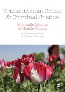 Descargar Transnational Crime and Criminal Justice pdf, epub, ebook