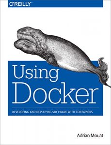 Descargar Using Docker: Developing and Deploying Software with Containers pdf, epub, ebook