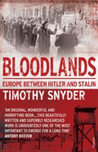 Descargar Bloodlands: Europe between Hitler and Stalin pdf, epub, ebook