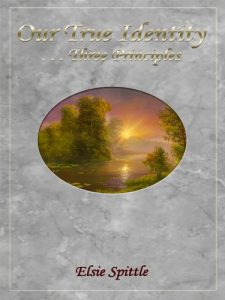 Descargar Our True Identity …Three Principles (English Edition) pdf, epub, ebook