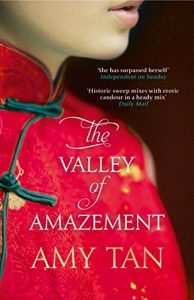 Descargar The Valley of Amazement pdf, epub, ebook