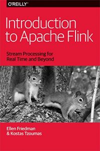 Descargar Introduction to Apache Flink: Stream Processing for Real Time and Beyond pdf, epub, ebook