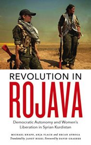 Descargar Revolution in Rojava: Democratic Autonomy and Women’s Liberation in Syrian Kurdistan pdf, epub, ebook