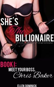 Descargar Meet Your Boss, Chris Baker (She’s The Billionaire Book 1) (English Edition) pdf, epub, ebook