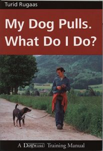 Descargar MY DOG PULLS – WHAT DO I DO? (English Edition) pdf, epub, ebook