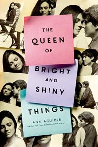 Descargar The Queen of Bright and Shiny Things pdf, epub, ebook