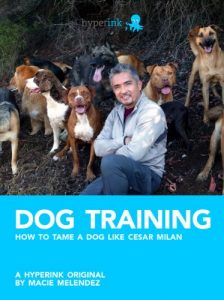 Descargar Dog Training: How to Tame a Dog Like Cesar Milan (English Edition) pdf, epub, ebook