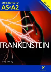 Descargar Frankenstein: York Notes for AS & A2 (York Notes Advanced) pdf, epub, ebook