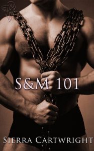 Descargar S&M 101 (English Edition) pdf, epub, ebook