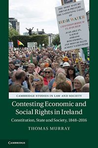 Descargar Contesting Economic and Social Rights in Ireland: Constitution, State and Society, 1848-2016 (Cambridge Studies in Law and Society) pdf, epub, ebook