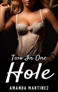 Descargar Two In One Hole (English Edition) pdf, epub, ebook