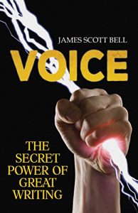 Descargar VOICE: The Secret Power of Great Writing (English Edition) pdf, epub, ebook