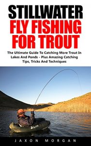 Descargar Stillwater Fly Fishing For Trout: The Ultimate Guide To Catching More Trout In Lakes And Ponds – Plus Amazing Catching Tips, Tricks And Techniques! (English Edition) pdf, epub, ebook