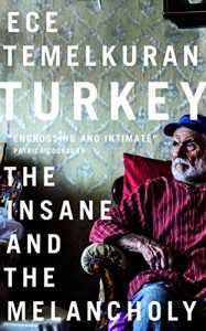 Descargar Turkey: The Insane and the Melancholy pdf, epub, ebook